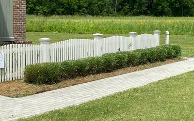 Photo of Joshua F.'s yard after getting landscaping in Maurepas, LA