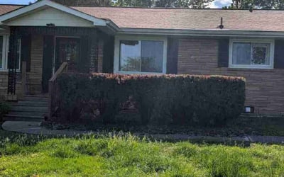 Photo of Laura M.'s yard after getting landscaping in Knoxville, TN