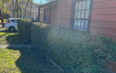 Photo of James J.'s yard after getting landscaping in Avalon, TX