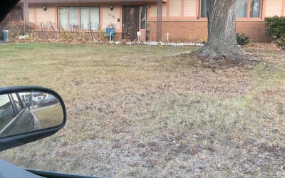 Photo of Sam M.'s yard after getting landscaping in Watertown, MN