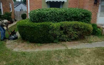 Photo of Fred B.'s yard after getting landscaping in Wilsons, VA