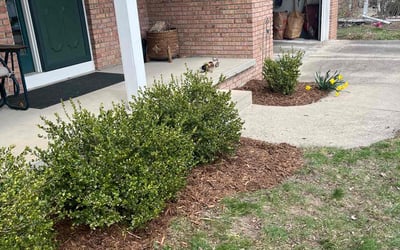 Photo of Phil S.'s yard after getting landscaping in East Lansing, MI