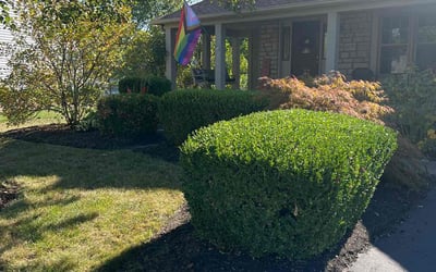 Photo of Joe C.'s yard after getting landscaping in Amlin, OH