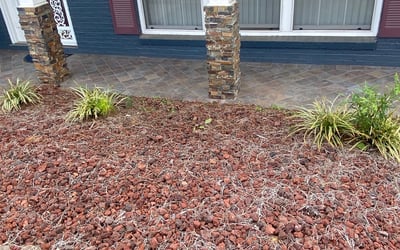 Photo of Mark S.'s yard after getting tree care in Snellville, GA