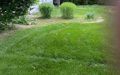 Photo of Roderick V.'s yard after getting landscaping in Maple Heights, OH