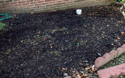 Photo of Jesse W.'s yard after getting tree care in Mclean, VA