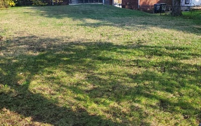 Photo of Barbara H.'s yard after getting landscaping in Nanjemoy, MD