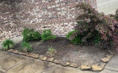 Photo of Michael P.'s yard after getting landscaping in Kenney, TX