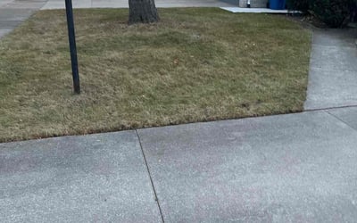 Photo of Kimberly J.'s yard after getting landscaping in Milford, MI