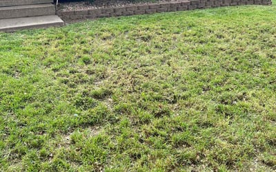 Photo of Pam P.'s yard after getting landscaping in Holt, MO