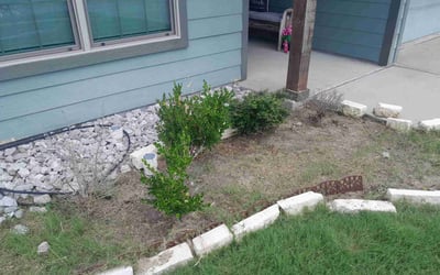 Photo of Steve C.'s yard after getting tree care in Crowley, TX