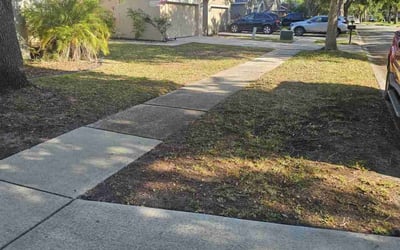 Photo of Mary M.'s yard after getting landscaping in Lithia, FL