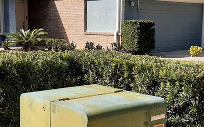 Photo of Alexander M.'s yard after getting landscaping in Christmas, FL