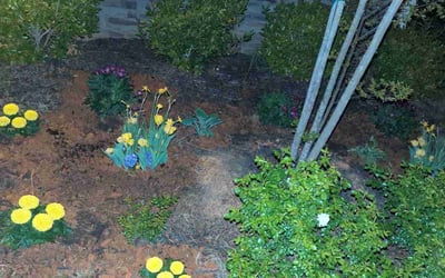 Photo of Christina G.'s yard after getting landscaping in Clayton, NC