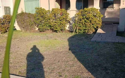 Photo of Barbara R.'s yard after getting landscaping in Canoga Park, CA