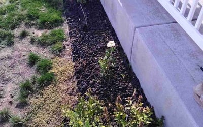 Photo of Brandon P.'s yard after getting landscaping in Palmer Lake, CO