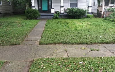 Photo of Tyler C.'s yard after getting landscaping in Prospect, KY