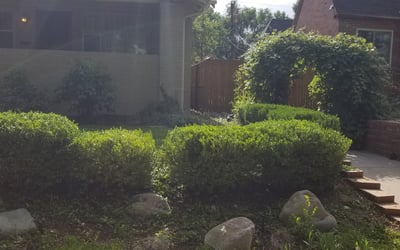 Photo of Sarah S.'s yard after getting landscaping in Georgetown, CO