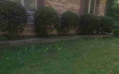 Photo of Yvonne H.'s yard after getting landscaping in Waynesville, NC