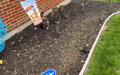 Photo of Stephen M.'s yard after getting landscaping in West Harrison, IN