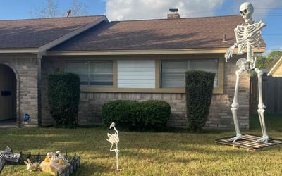 Photo of Karl M.'s yard after getting landscaping in Raywood, TX