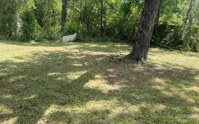 Photo of John P.'s yard after getting landscaping in Augusta, GA