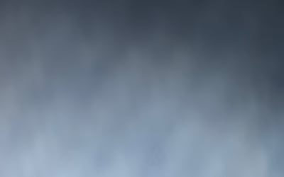 Photo of Vicki-Lynn H.'s yard after getting tree care in Washington, DC