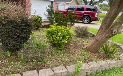 Photo of Stuart D.'s yard after getting tree care in Spring, TX