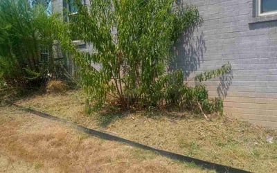 Photo of Mitchell S.'s yard after getting tree care in Little Rock, AR