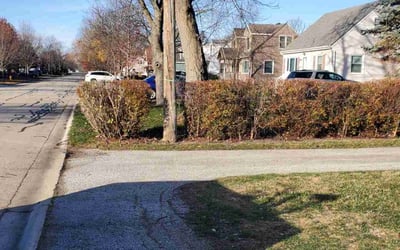 Photo of Jim M.'s yard after getting landscaping in Tinley Park, IL