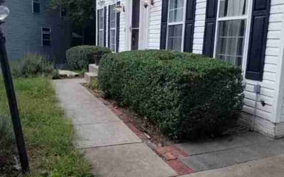 Photo of Nathan H.'s yard after getting landscaping in Marshall, VA