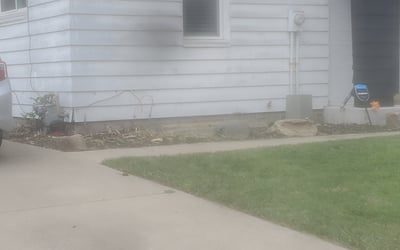 Photo of Barbara H.'s yard after getting tree care in Cincinnati, OH