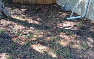 Photo of Nicole P.'s yard after getting landscaping in North Branch, MN