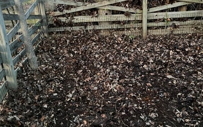 Photo of Lana S.'s yard after getting landscaping in Braddock Heights, MD