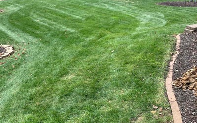 Photo of Jennifer A.'s yard after getting landscaping in Weston, MO
