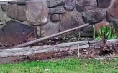 Photo of Amanda B.'s yard after getting landscaping in Millington, TN