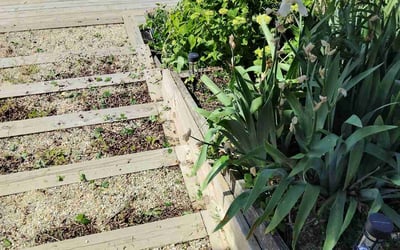 Photo of Jennifer S.'s yard after getting landscaping in Chesapeake, VA
