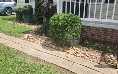 Photo of Luanne J.'s yard after getting tree care in Gastonia, NC