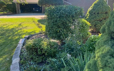 Photo of Lynne T.'s yard after getting tree care in Naperville, IL