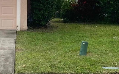 Photo of Megan D.'s yard after getting landscaping in Melbourne Beach, FL