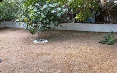 Photo of Ronald M.'s yard after getting landscaping in Cathedral City, CA
