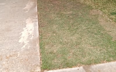 Photo of Kira H.'s yard after getting landscaping in Jourdanton, TX