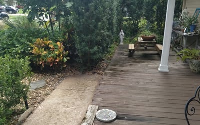 Photo of Jessie H.'s yard after getting landscaping in Tangerine, FL