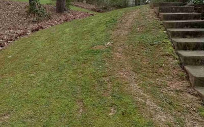 Photo of Ana L.'s yard after getting landscaping in Lilburn, GA