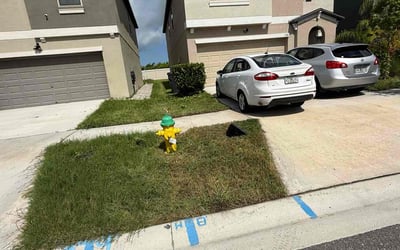 Photo of Wendy G.'s yard after getting tree care in Sun City Center, FL