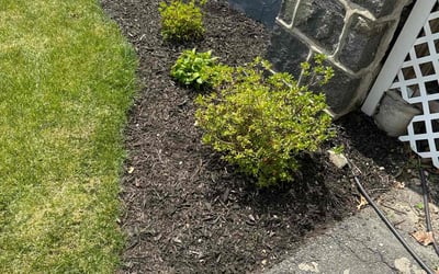 Photo of Rebecca M.'s yard after getting landscaping in Bellingham, MA