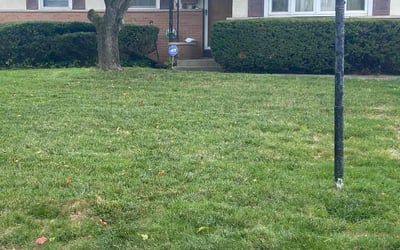 Photo of Cindy A.'s yard after getting landscaping in Baltimore, OH