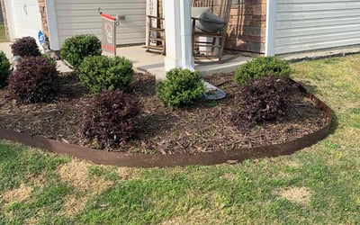 Photo of Jack B.'s yard after getting tree care in Morrisville, NC