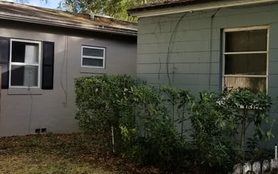Photo of Bonna K.'s yard after getting tree care in Howey In The Hills, FL