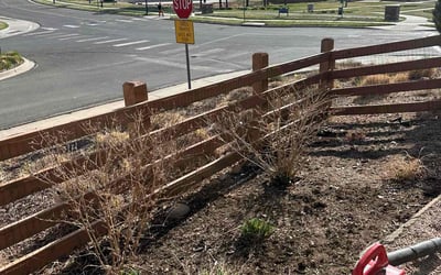 Photo of Valerie R.'s yard after getting landscaping in Commerce City, CO